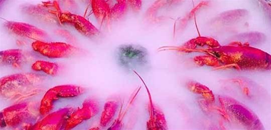 如何選擇山西高純氣體管道配管及附件材料？